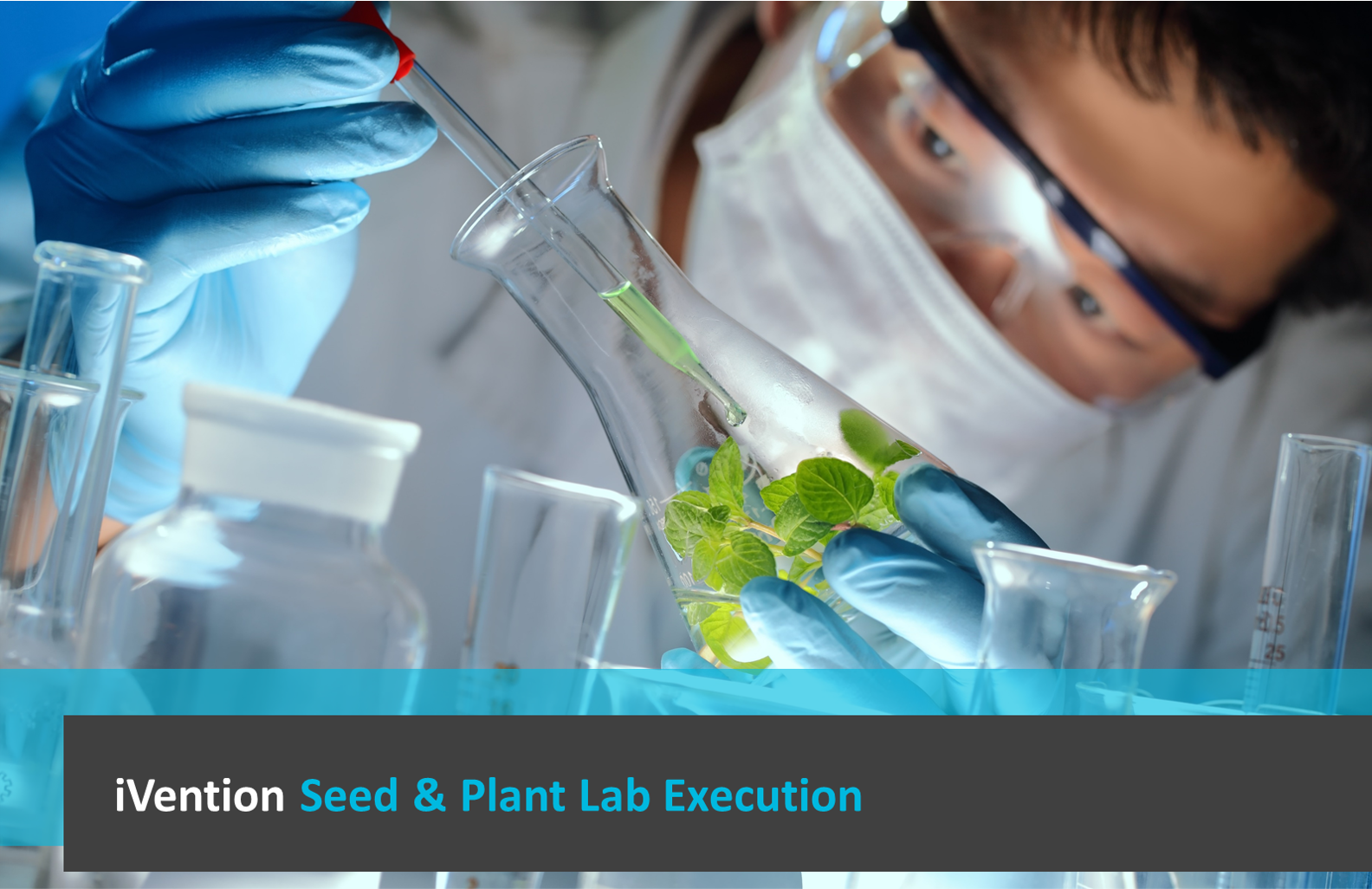 Seed and Plants Lab Execution - Image-1
