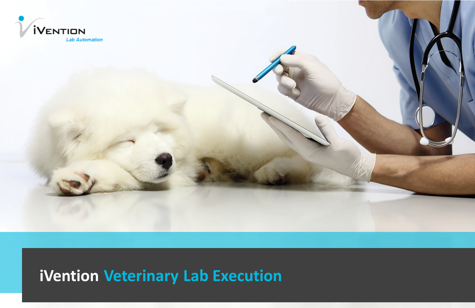 iLES Veterinary Lab Execution - Landingpage - Image